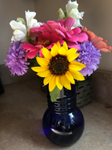 First frost warning Cut flowers sunflower zinnia