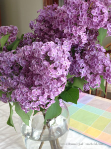 Purple lilacs in glass vase