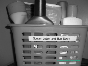 Bath Suntan Lotion and Bug Spray Basket 1