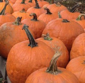 Pumpkins