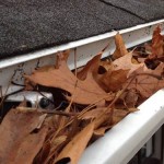 Gutters with Leaves