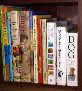 How to organize children's books
