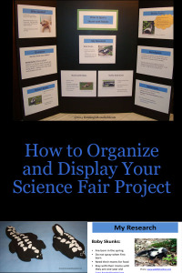 How to Organize and Display Your Science Fair Project