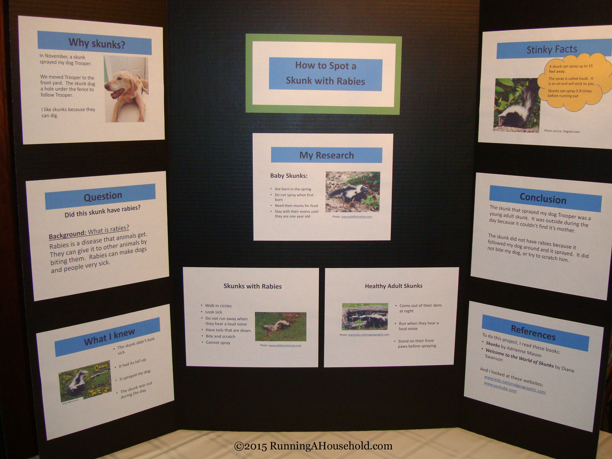 How to Organize and Display Your Science Fair Project - Running A Household