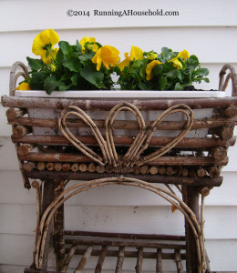 Yellow pansies