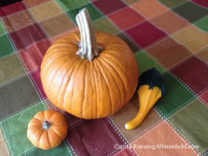 Pumpkin and gourds