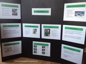 Science Fair Display