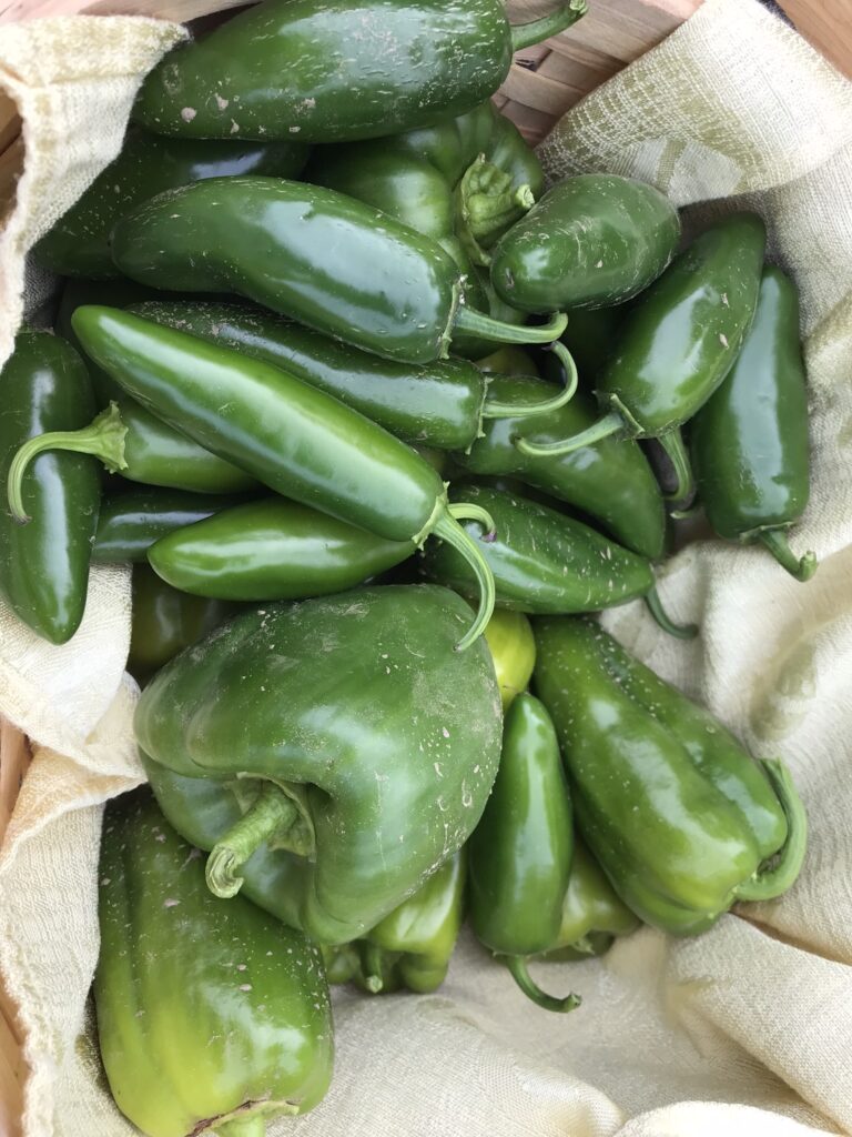 Jalepeno and Green Peppers